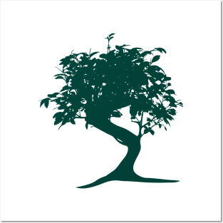 Bonsai Tree Posters and Art